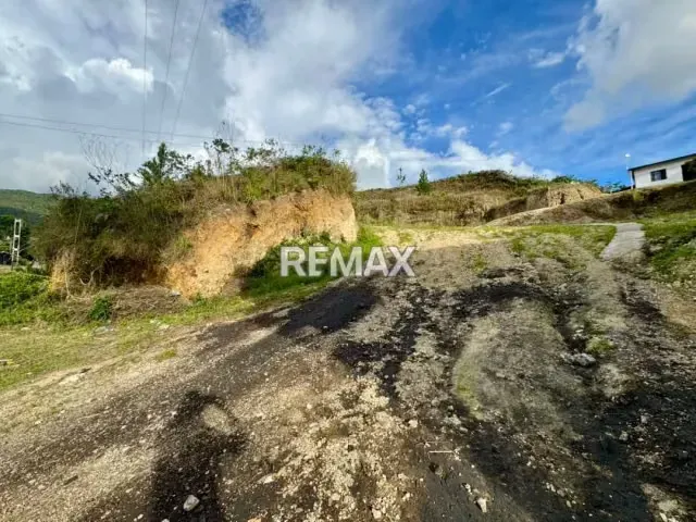 Terreno. Venta. Palo Gordo - 4