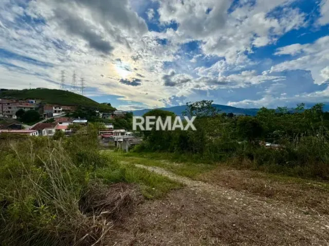 Terreno. Venta. Palo Gordo - 8