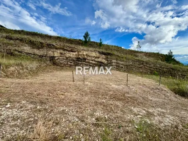 Terreno. Venta. Palo Gordo - 9