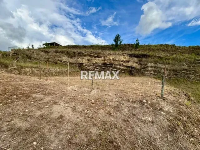 Terreno. Venta. Palo Gordo - 10