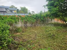 Vista 26