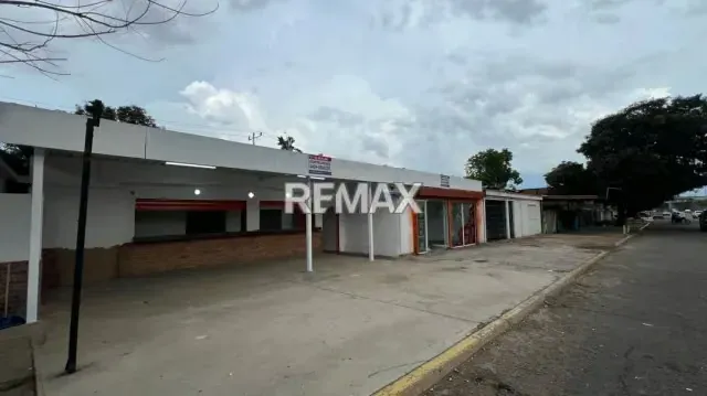 Local olivos - 3