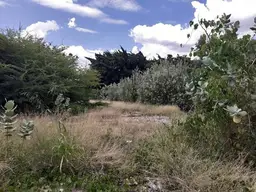 Vista 4