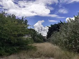 Vista 5