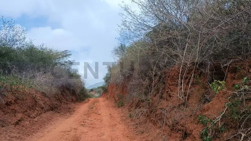 Disponible para la venta terreno con una gran extensión en la isla de Margarita
