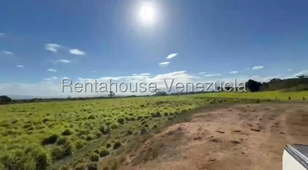 Terreno (Finca) en Venta en San Felipe, Yaracuy - 11