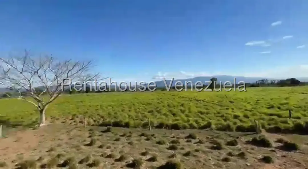 Terreno (Finca) en Venta en San Felipe, Yaracuy - 12