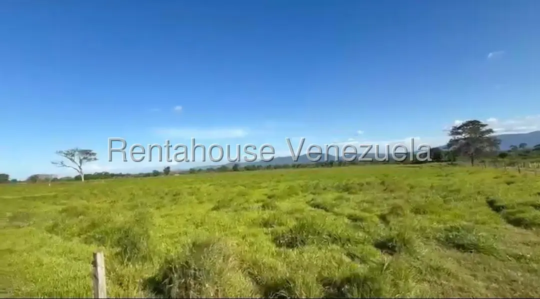 Terreno (Finca) en Venta en San Felipe, Yaracuy - 13