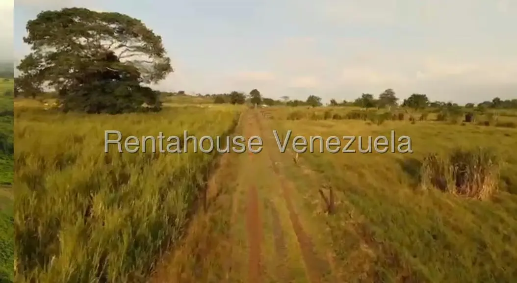 Terreno (Finca) en Venta en San Felipe, Yaracuy - 16
