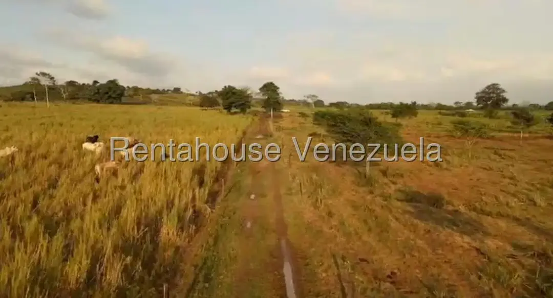 Terreno (Finca) en Venta en San Felipe, Yaracuy - 17