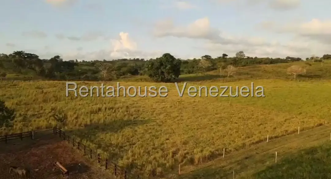 Terreno (Finca) en Venta en San Felipe, Yaracuy - 18