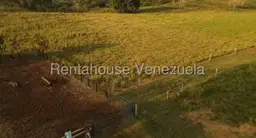 View 19