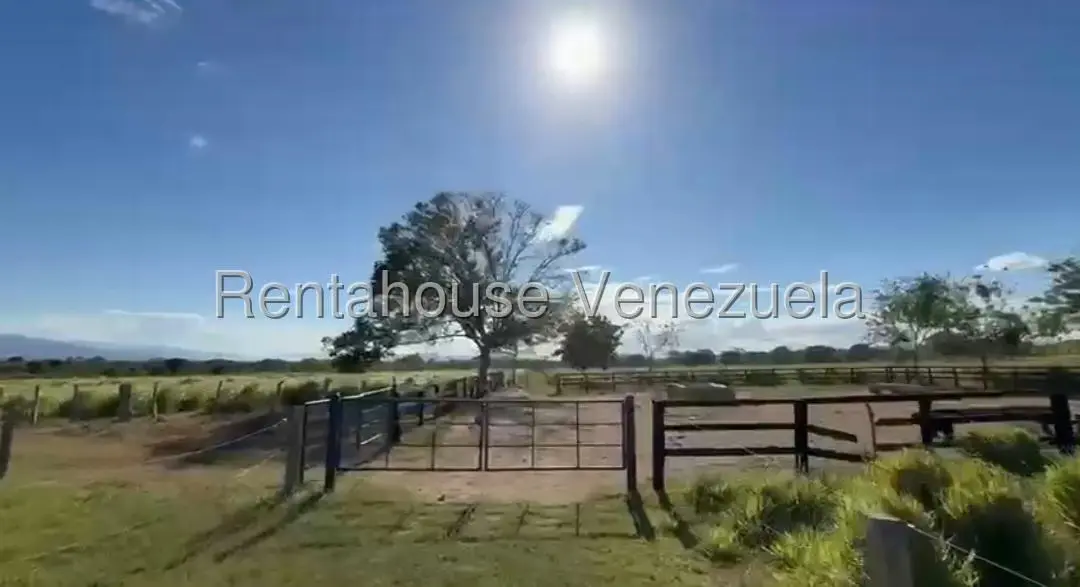 Terreno (Finca) en Venta en San Felipe, Yaracuy - 2