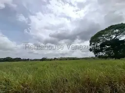 View 21
