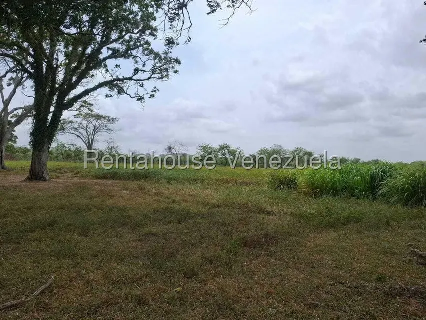 Terreno (Finca) en Venta en San Felipe, Yaracuy - 22
