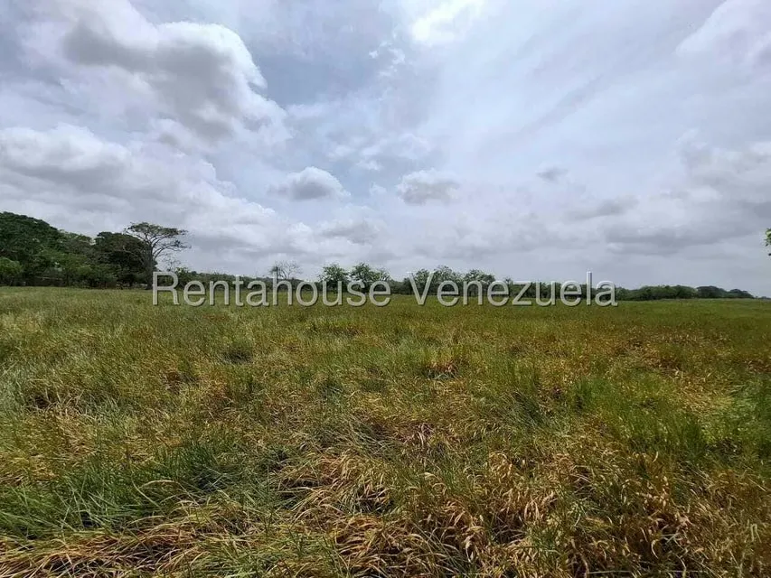 Terreno (Finca) en Venta en San Felipe, Yaracuy - 23