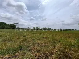 View 23