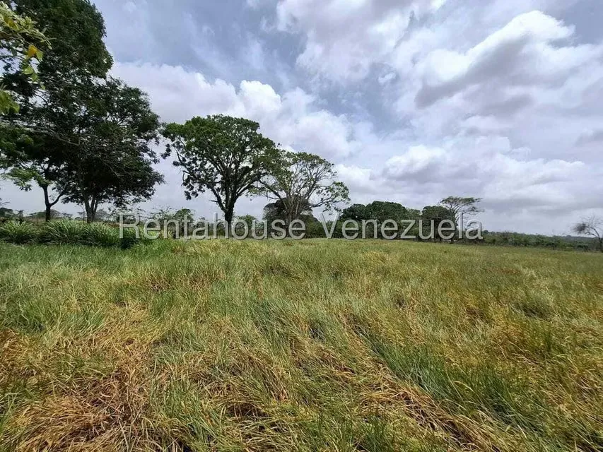 Terreno (Finca) en Venta en San Felipe, Yaracuy - 24
