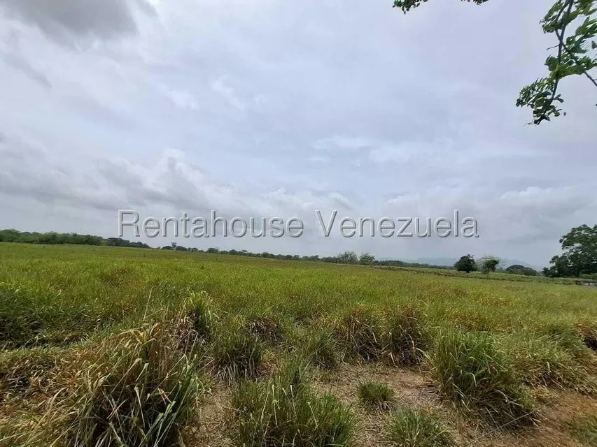 Terreno (Finca) en Venta en San Felipe, Yaracuy - 25