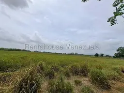 View 25