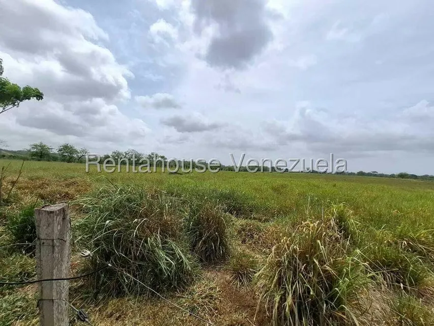 Terreno (Finca) en Venta en San Felipe, Yaracuy - 26