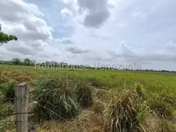 View 26