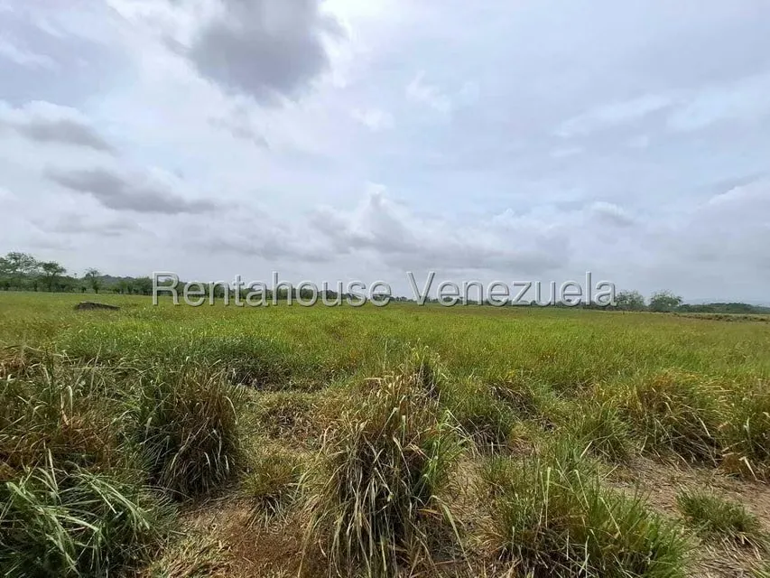 Terreno (Finca) en Venta en San Felipe, Yaracuy - 27