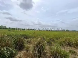 View 27
