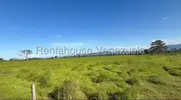 View 28