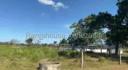 View 29