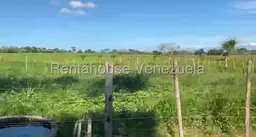 View 30
