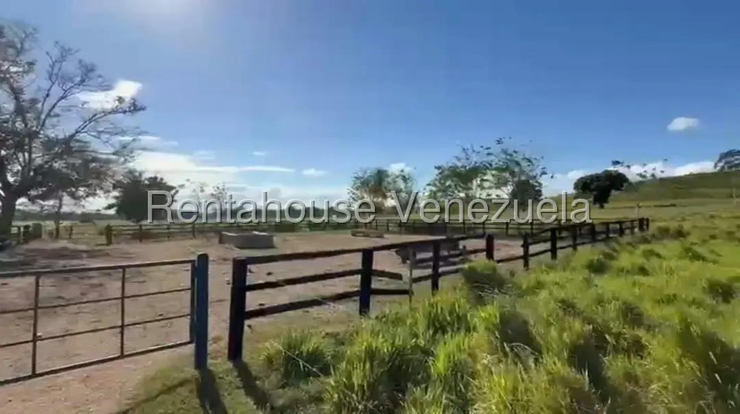 Terreno (Finca) en Venta en San Felipe, Yaracuy - 3