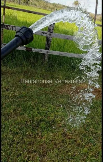 Terreno (Finca) en Venta en San Felipe, Yaracuy - 31