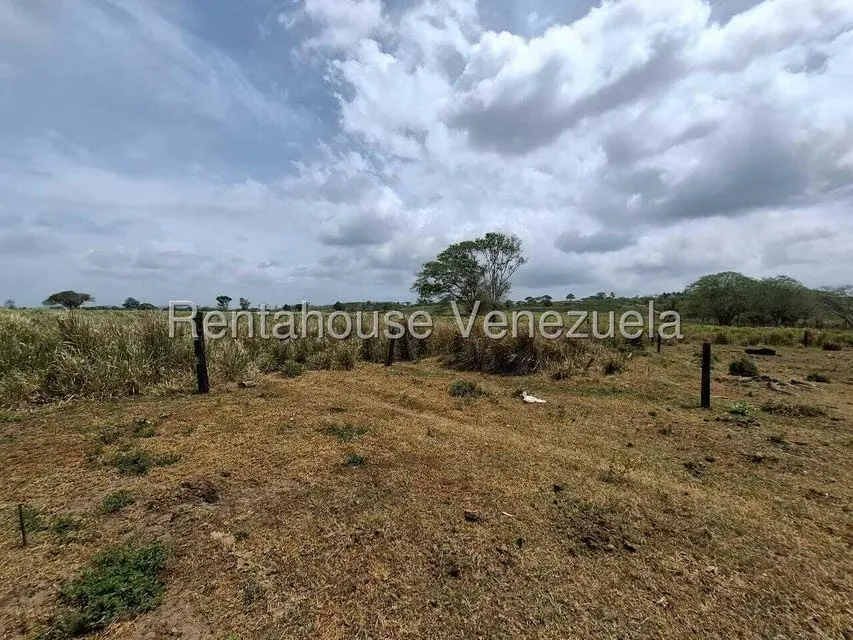 Terreno (Finca) en Venta en San Felipe, Yaracuy - 32
