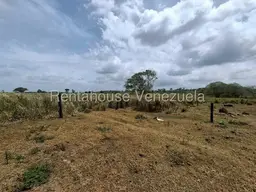 View 32