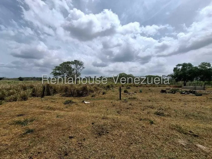 Terreno (Finca) en Venta en San Felipe, Yaracuy - 33