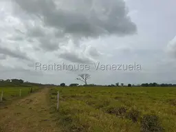 View 35