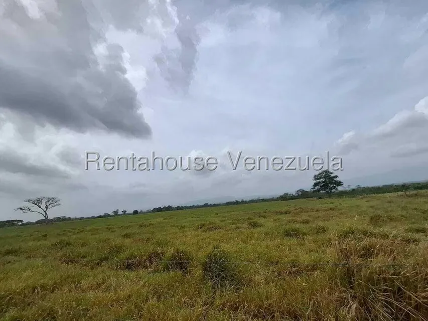 Terreno (Finca) en Venta en San Felipe, Yaracuy - 36