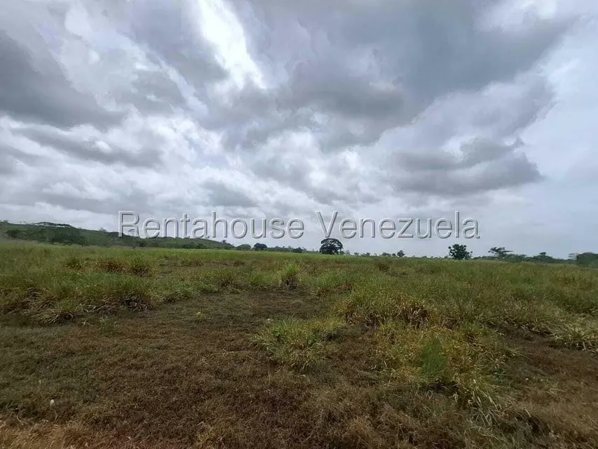 Terreno (Finca) en Venta en San Felipe, Yaracuy - 38