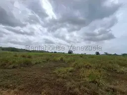 View 38