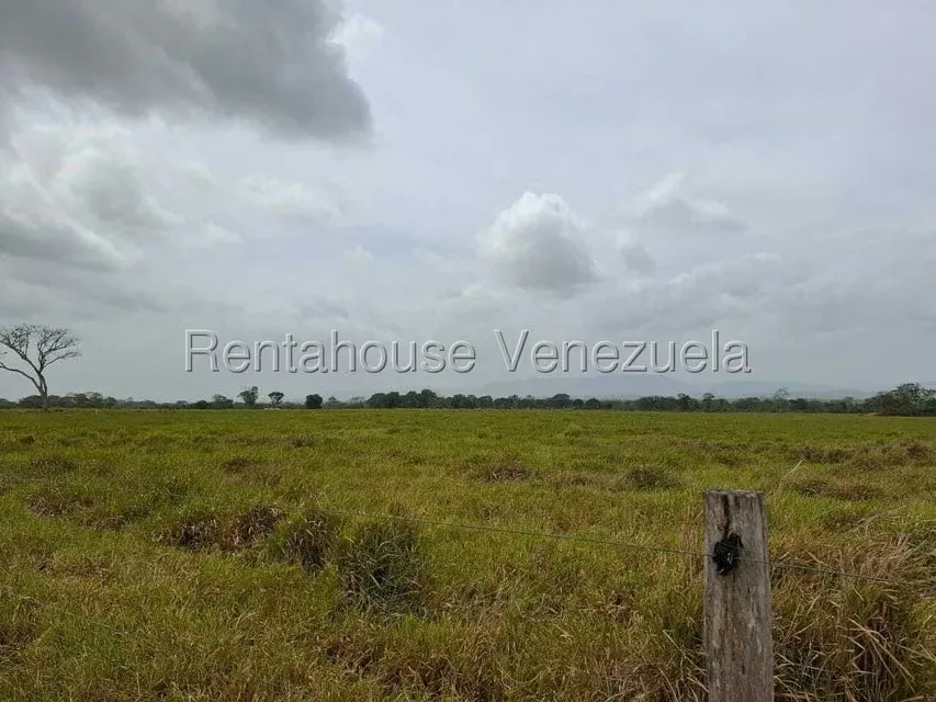 Terreno (Finca) en Venta en San Felipe, Yaracuy - 39