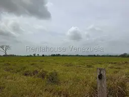 View 39