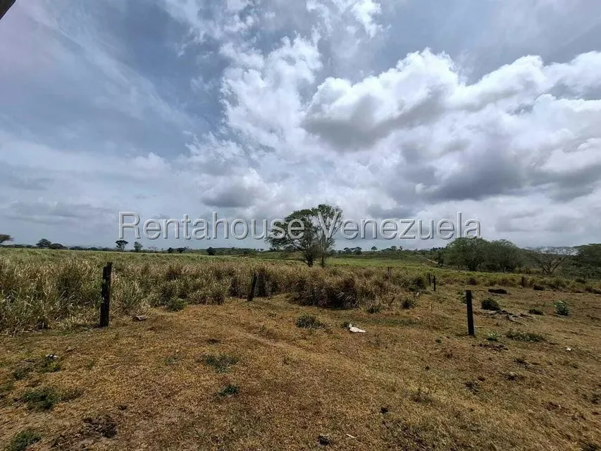 Terreno (Finca) en Venta en San Felipe, Yaracuy - 40