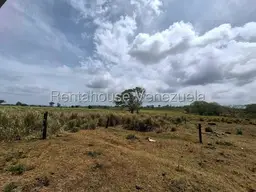 View 40