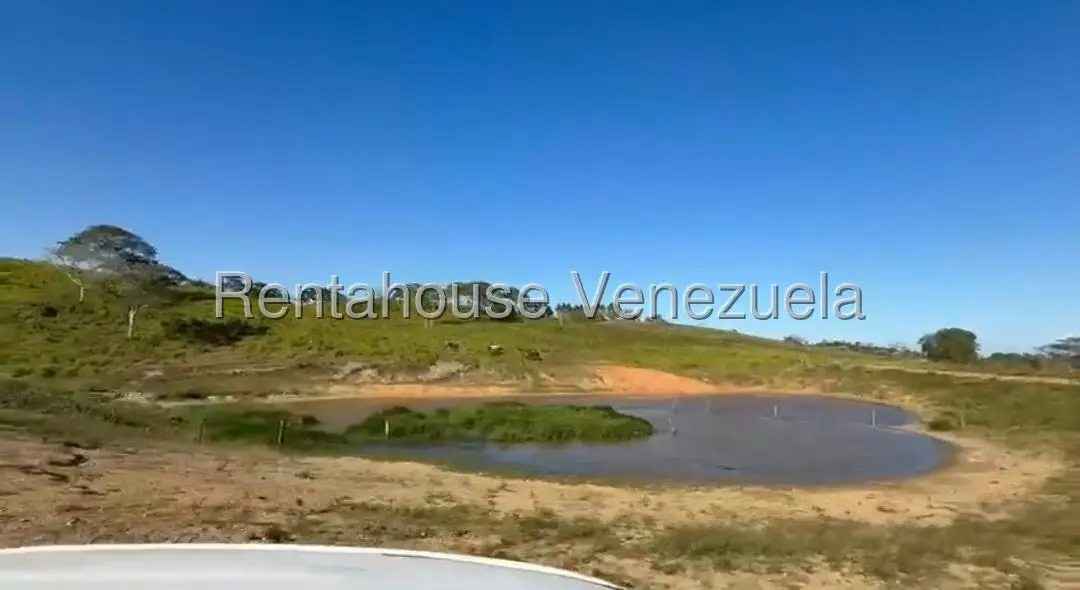 Terreno (Finca) en Venta en San Felipe, Yaracuy - 4