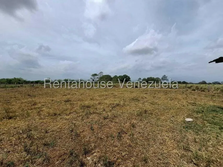 Terreno (Finca) en Venta en San Felipe, Yaracuy - 41