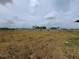 View 41