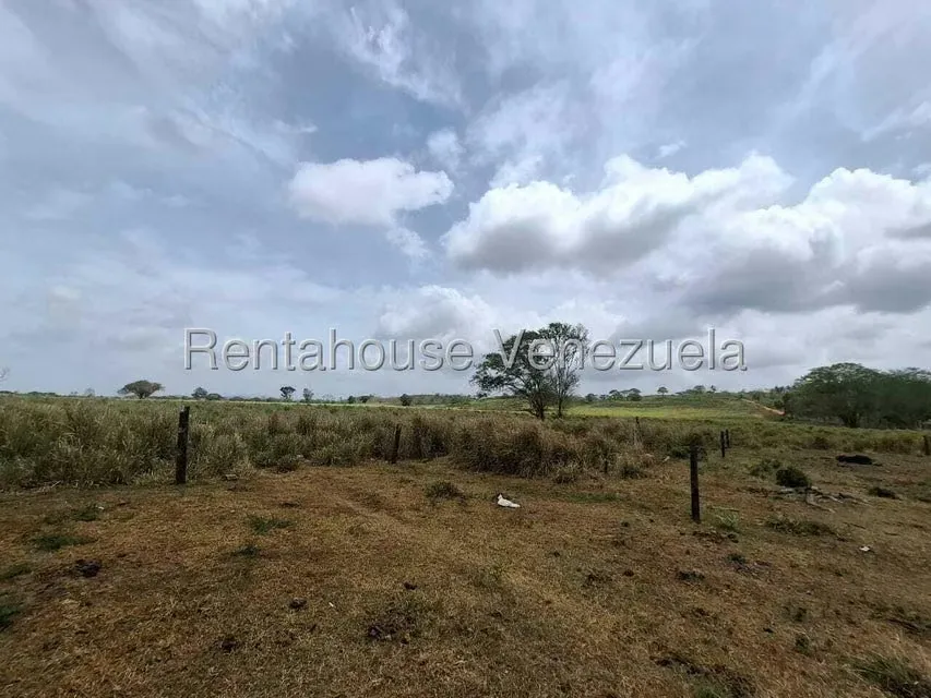 Terreno (Finca) en Venta en San Felipe, Yaracuy - 42