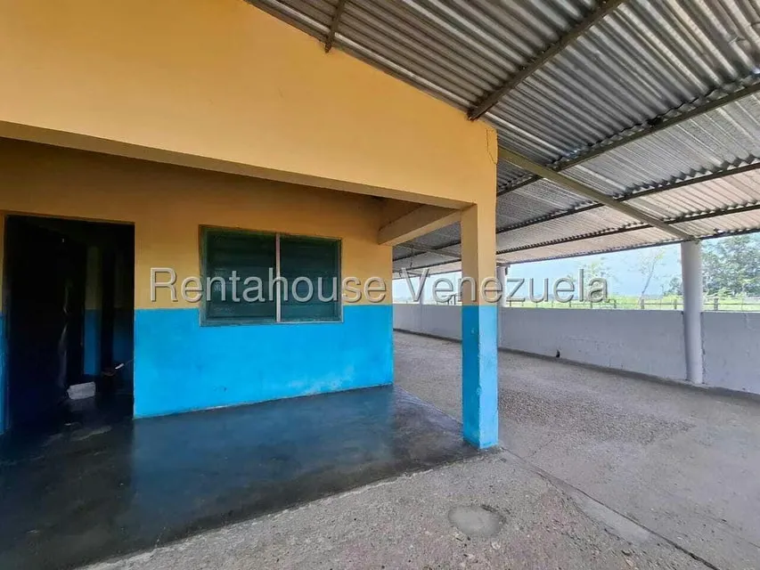 Terreno (Finca) en Venta en San Felipe, Yaracuy - 43