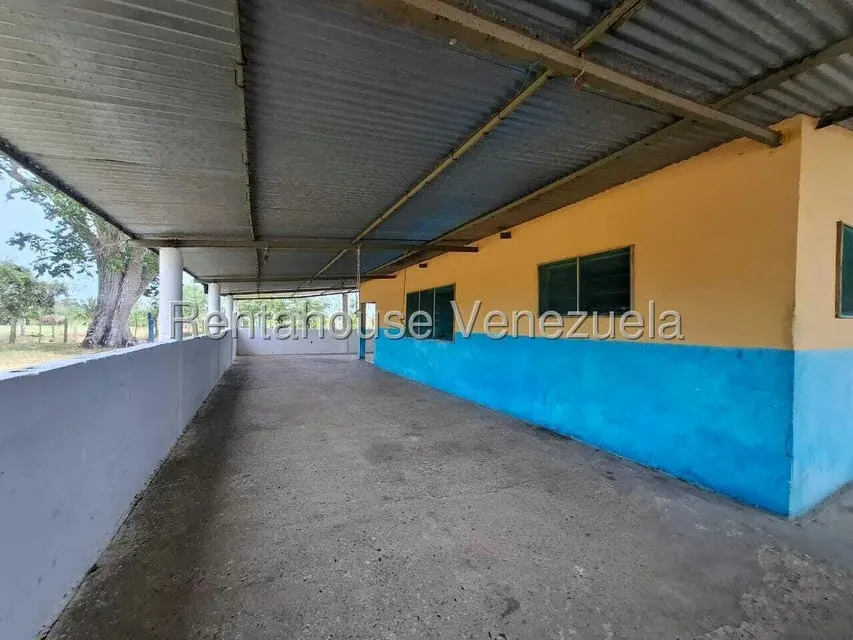 Terreno (Finca) en Venta en San Felipe, Yaracuy - 49